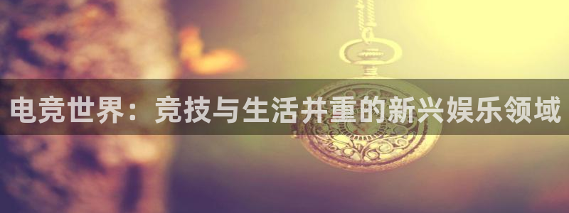 db电竞官网app：电竞世界：竞技与生活并重的新兴娱乐领域