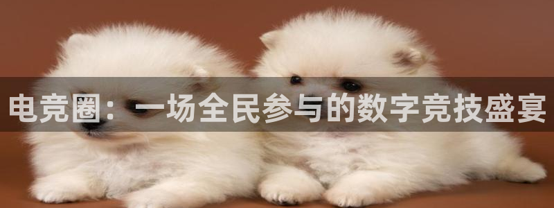db电竞登陆：电竞圈：一场全民参与的数字竞技盛宴