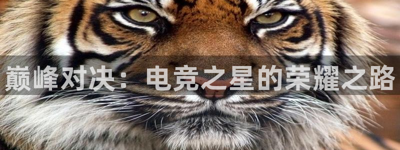 db电竞\'：巅峰对决：电竞之星的荣耀之路