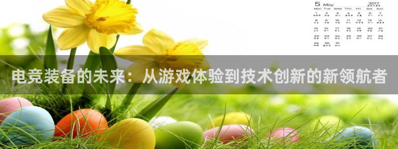 db电竞是雷火电竞吗知乎：电竞装备的未来：从游戏体验到技术创新的新领航者