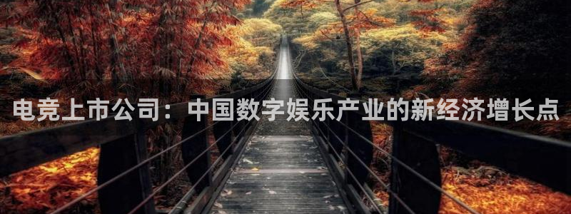 db电竞网页版：电竞上市公司：中国数字娱乐产业的新经济增长点