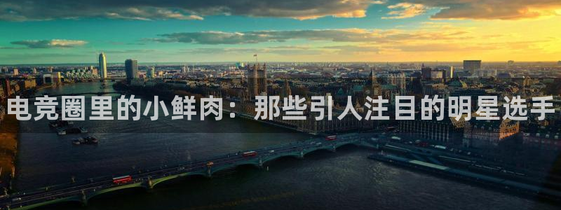 db电竞下载：电竞圈里的小鲜肉：那些引人注目的明星选手