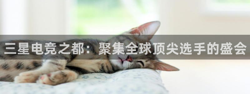 db电竞是雷火电竞嘛：三星电竞之都：聚集全球顶尖选手的盛会