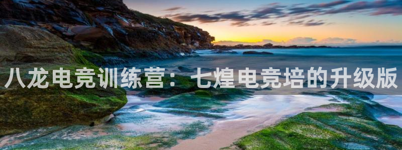 db电竞是什么软件啊：八龙电竞训练营：七煌电竞培的升级版