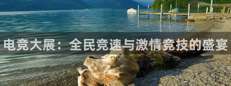 db电竞是什么软件：电竞大展：全民竞速与激情竞技的盛宴