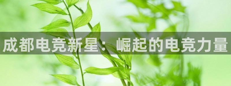 db电竞是雷火电竞嘛：成都电竞新星：崛起的电竞力量