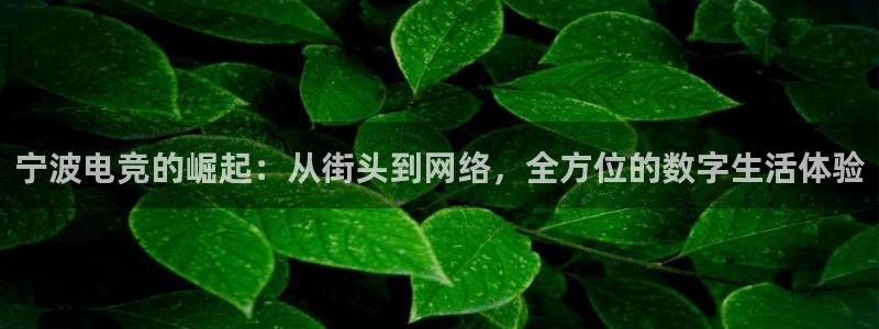 db电竞登陆：宁波电竞的崛起：从街头到网络，全方位的数字生活体验