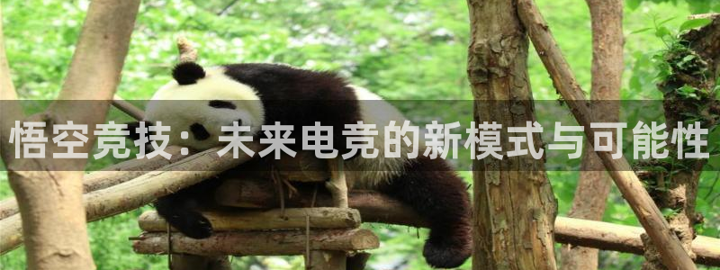 db电竞官网：悟空竞技：未来电竞的新模式与可能性