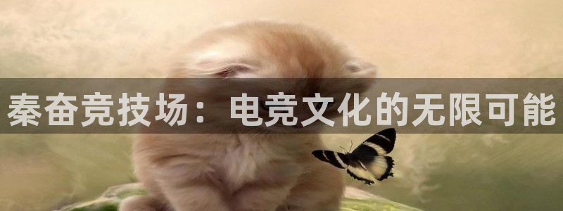 db电竞平台：秦奋竞技场：电竞文化的无限可能