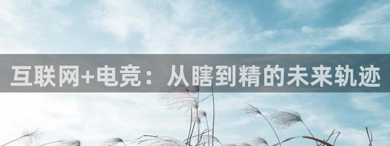 db电竞官网martini：互联网+电竞：从瞎到精的未来轨迹