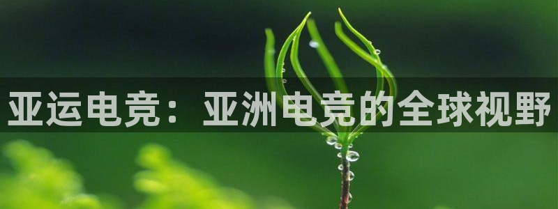 db电竞下载