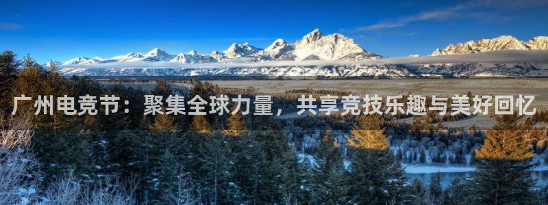 db电竞\'：广州电竞节：聚集全球力量，共享竞技乐趣与美好回忆