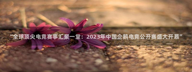db电竞是雷火电竞嘛：“全球顶尖电竞赛事汇聚一堂：2023年中国企鹅电竞公开赛盛大开幕”