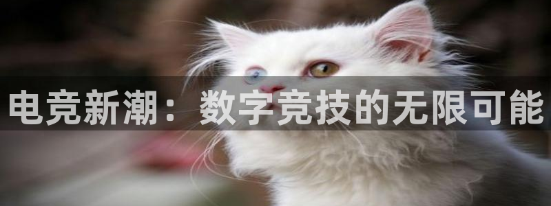 db电竞是雷火电竞嘛：电竞新潮：数字竞技的无限可能
