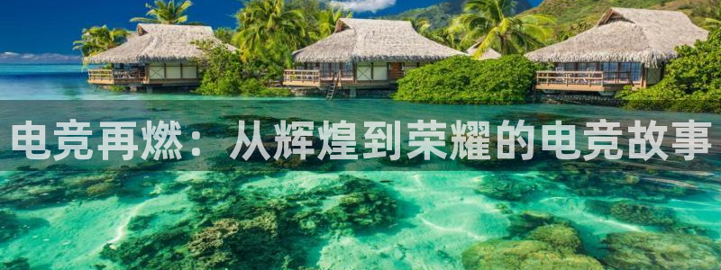 db电竞网页版：电竞再燃：从辉煌到荣耀的电竞故事