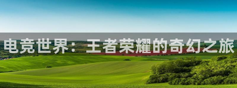 db电竞\'：电竞世界：王者荣耀的奇幻之旅