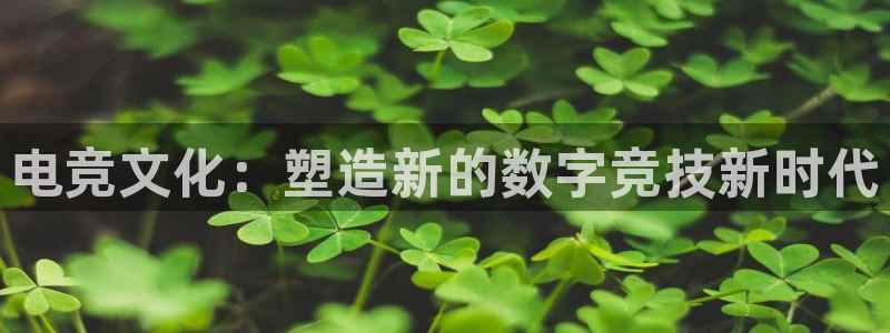 db电竞app下载安卓版最新版本：电竞文化：塑造新的数字竞技新时代