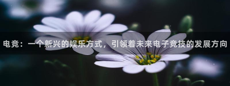 db电竞\'：电竞：一个新兴的娱乐方式，引领着未来电子竞技的发展方向
