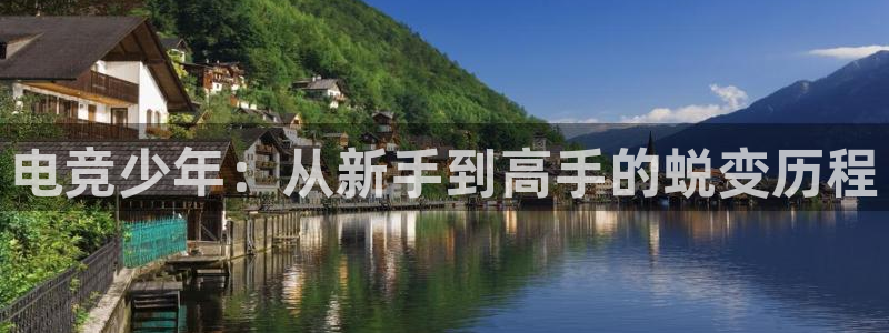 db电竞登陆